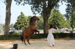 Especes d Espaces 52 * 5760 x 3840 * (9.03MB)